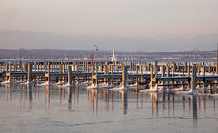 Winter at the Marina